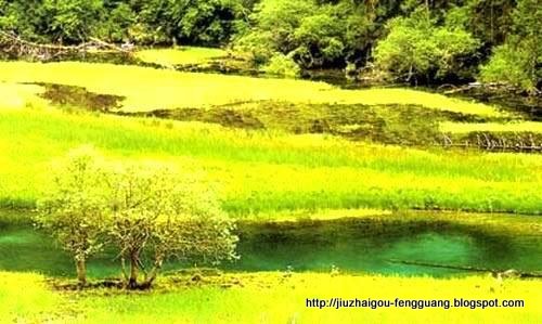 九寨沟风光:jiuzhaigoufengguang-45353
