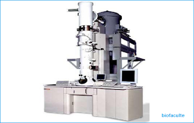 Le microscope électronique à transmission