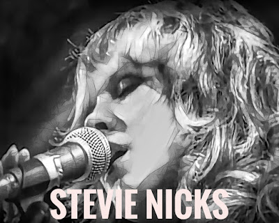 Billets Stevie Nicks