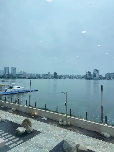 청초수물회-창가-자리에서-보이는-바다
