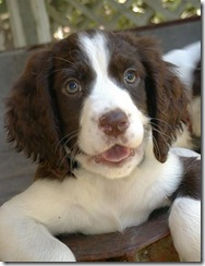 Charlie