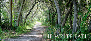 The Write Path