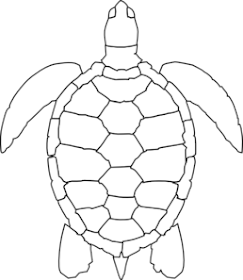 turtle color in sheet