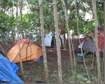 Our camp site for the night