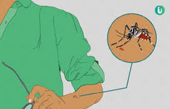 What are the possible causes of Chikungunya?