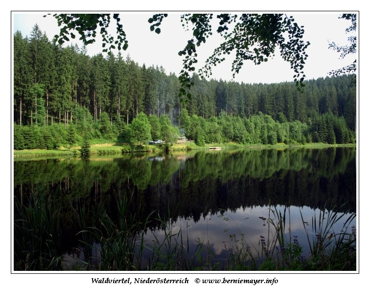 Waldviertel