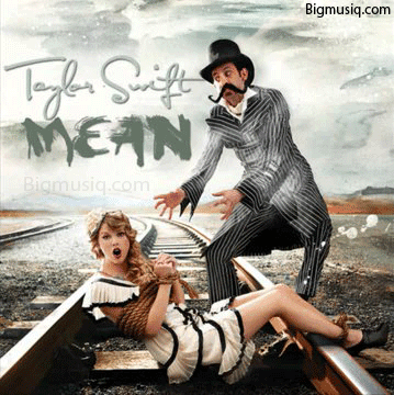 taylor swift mean single