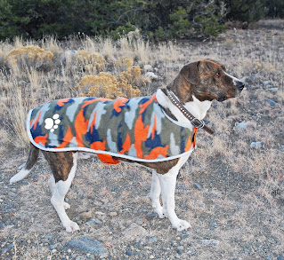 camouflaged Zack & Zoey Nor'easter Dog Blanket Coat