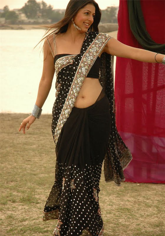 Bhoomika Chawala Hot and Spicy Photo in Black Saree