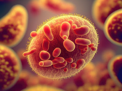 What is Antimicrobial Resistance? What We Should Know About UTIs and Other Infections