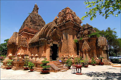 THUOC NAM TRI VIEM XOANG - VIEM MUI DỊ UNG