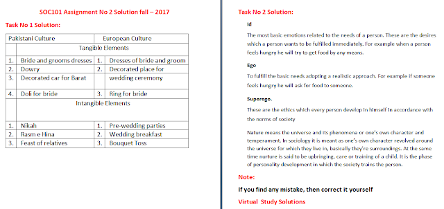 SOC101 assignment no 2 solution file sample page preview fall 2017