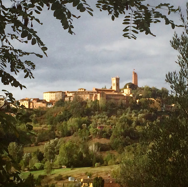 View of San Miniato town in Tuscany, Italy framed by Tree