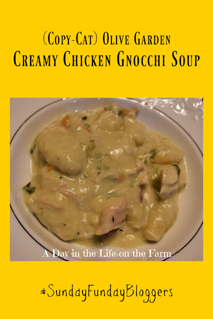 Creamy Chicken Gnocchi soup pin