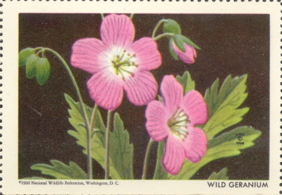 1963 National Wildlife Federation Wild Geranium