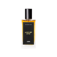 A photo of a big rectangular glass bottle of perfume filled with clear liquid with a black circular lid with a black rectangular label that says Death and Decay Perfume Lush in white font on a bright background