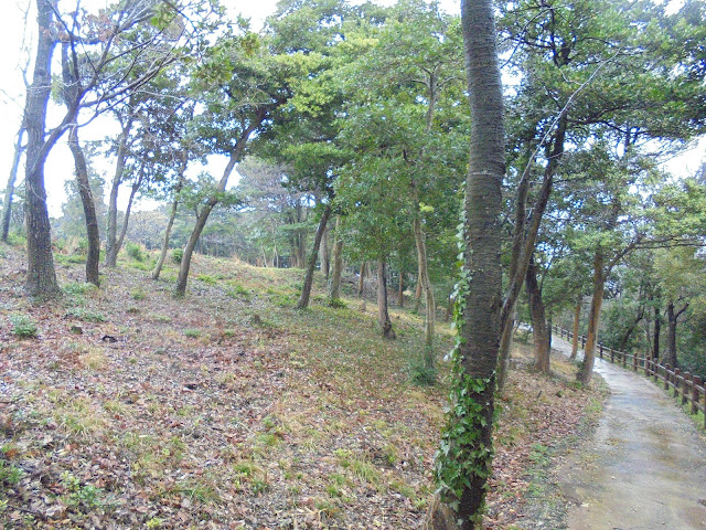 雨の日の弥生の森の遊歩道