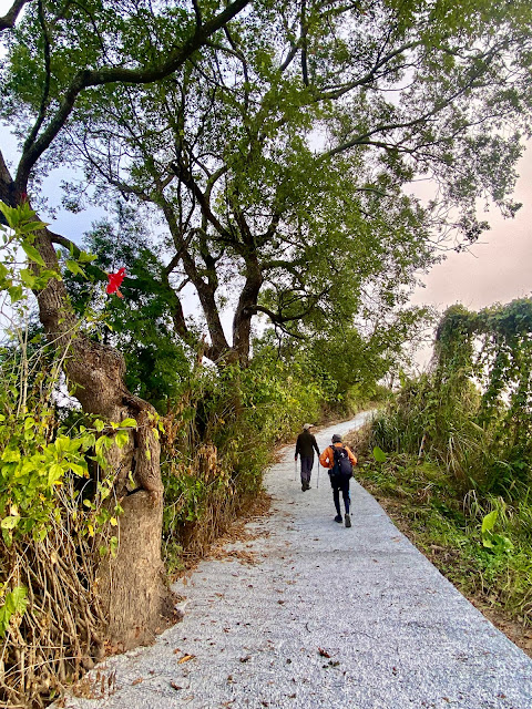 往苗圃中心山東峰