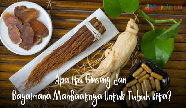 Apa Itu Ginseng Dan Bagaimana Keuntungannya Untuk Badan Kita?