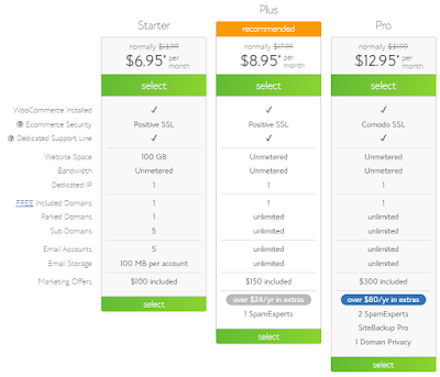 the woocommerce hosting plans and their features