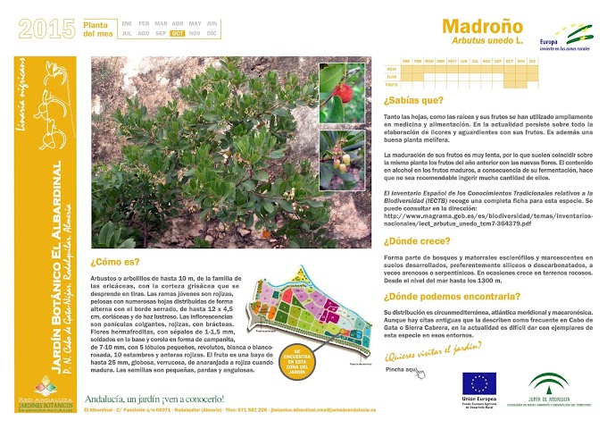 Informacion Sobre Las Plantas Del Jardin Botanico