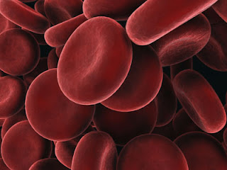 Blood Cell