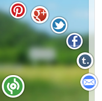 How To Add The Animated Sassy Bookmarking Gadget To Your Blog