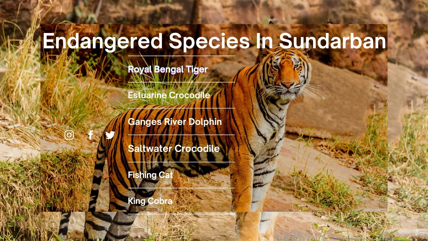 Endangered Species in Sundarbans