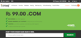 godaddy-domain-page