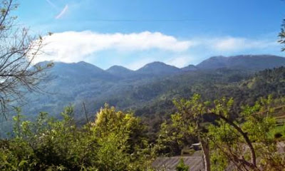 Ruang Terbuka Hijau Terus Menyusut di Kota Batu