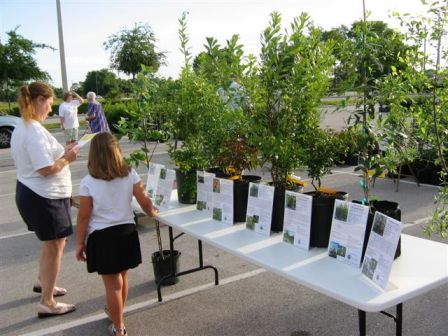 Free Arbor Day Trees