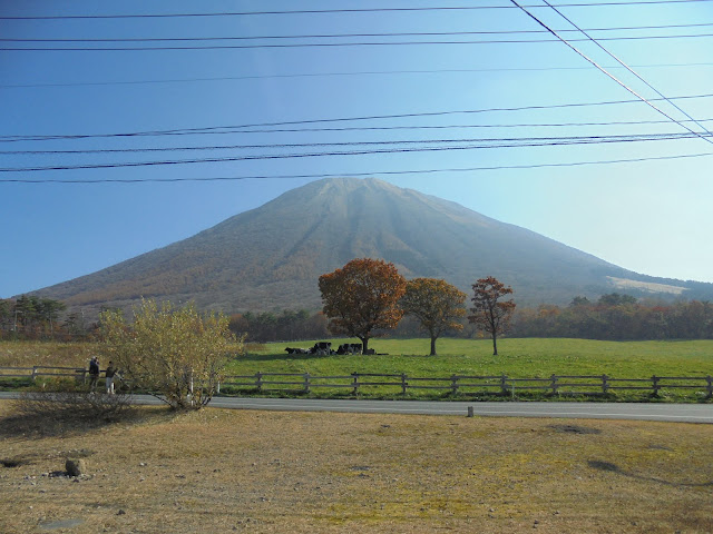 大山牧場みるくの里