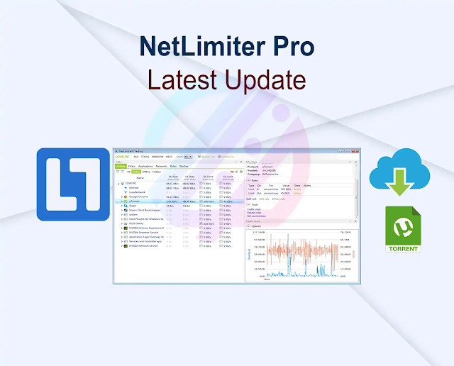 NetLimiter Pro 5.2.8.0 Latest Update