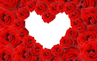 Love On Red Rose