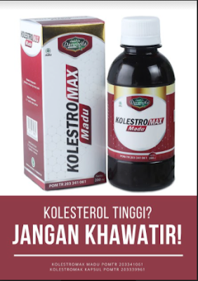 obat kolesterol