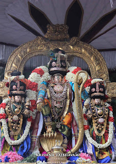 Sri Narasimha Swamy, Dhavana Utsavam, Theliya Singar, Azhaiya Singar,Thirumanjanam, Purappadu,  Triplicane,  Purappadu, Thiruvallikeni, Utsavam