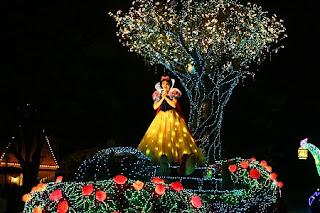 Nighttime Parade "Tokyo Disneyland Electrical Parade Dreamlights"