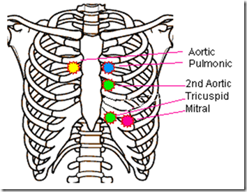 image_thumb19