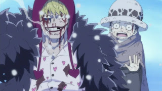 ワンピースアニメ ドンキホーテ・ロシナンテ トラファルガーロー 幼少期 コラソン Donquixote Rosinante Corazon ONE PIECE