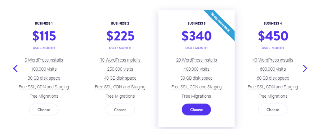 Kinsta Buisness Plan and Pricing