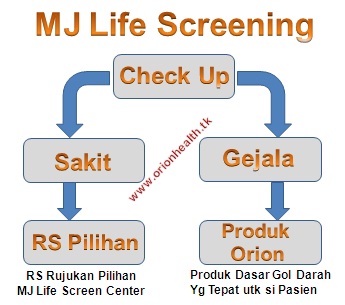 7 Pinsip Mayor / 30+ Ide Keren Gambar Sketsa Pilot Dan Pesawat Terbang ... - The mayor of the ...