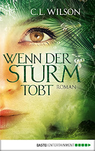 Wenn der Sturm tobt: Roman (Mystral 4)