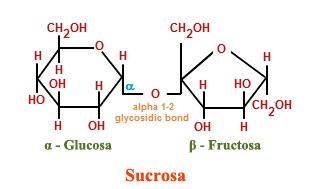 Molécula de sacarosa: combinación de los monosacáridos glucosa y fructosa