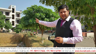 Vastu, Vastu Consultant, Vastu Shastra, Best Vastu Expert, Best Vastu Consultant, Vaastu Shastra, Famous Vastu Consultant, Famous Vastu Expert, Vastu Consultancy, Vastu Consultant In United States Of America, Vastu Expert In United Arab Emirates, Vastu Consultant In India, Vastu Expert In Canada, Vastu Expert, Vastu Tips, Vastu Consultant In Australia, Vastu Expert in Singapore, Vastu Consultant In South Africa, Vastu Expert In Europe, Vastu Shastra Consultant, Vaastu Shastra Expert, Vastu For Home, Vastu For Office, Vastu For Industries, Vastu For Hotels, Vastu For Hospitals, Vastu For Resorts, Vastu For Temple, Vastu For