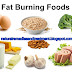 Top 4 Fat Burning Foods to Lose Weight