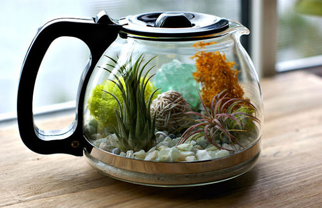 DIY easy and simple terrarium