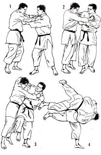 techniques judo