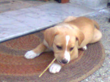 Pepita!