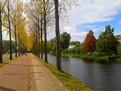 Rotterdam: Autumn in Ommoord