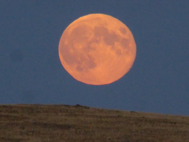 Pink Moonrise Mongolia 